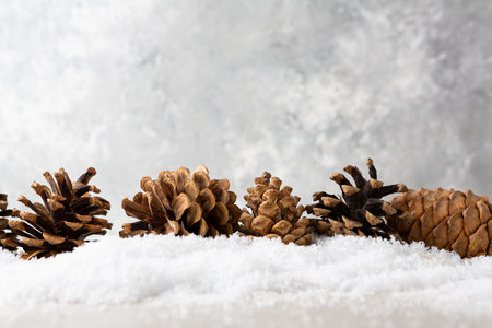 Winter holiday background with decor pine cones and snowの写真素材