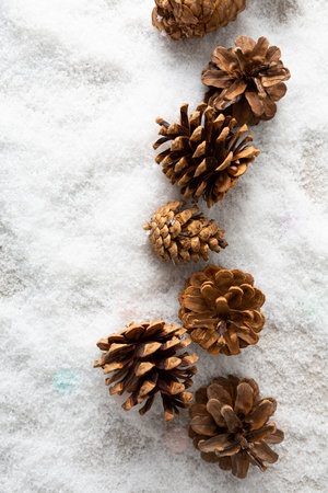 Winter holiday background with decor pine cones and snow  top view copy spaceの写真素材