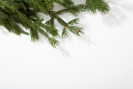 White Christmas background with green branches holiday concept saleの写真素材