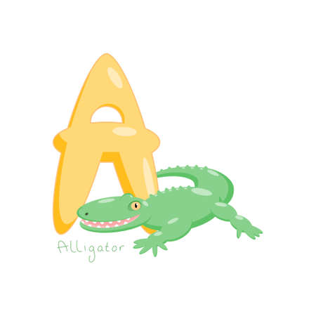 Letter A. Childrens alphabet with a cute alligator. Vector illustration for learning English.のイラスト素材