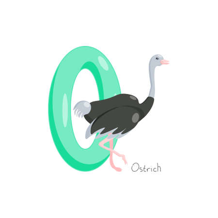 Letter O. Childrens alphabet, cute ostrich. Vector illustration for learning English.のイラスト素材