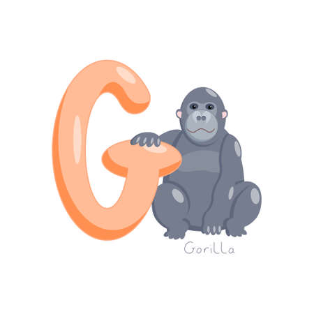 Letter G. Childrens alphabet, cute gorilla. Vector illustration for learning English.のイラスト素材