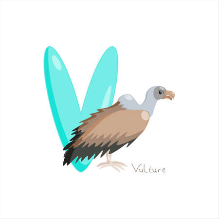 Letter V. Childrens alphabet, cute vulture. Vector illustration for learning English.のイラスト素材