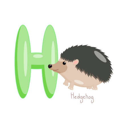 Letter H. Childrens alphabet, cute hedgehog. Vector illustration for learning English.のイラスト素材