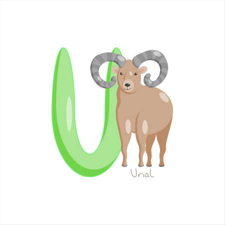 Letter U. Childrens alphabet, cute urial. Vector illustration for learning English.のイラスト素材