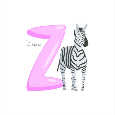 Letter Z. Childrens alphabet, cute zebra. Vector illustration for learning English.のイラスト素材