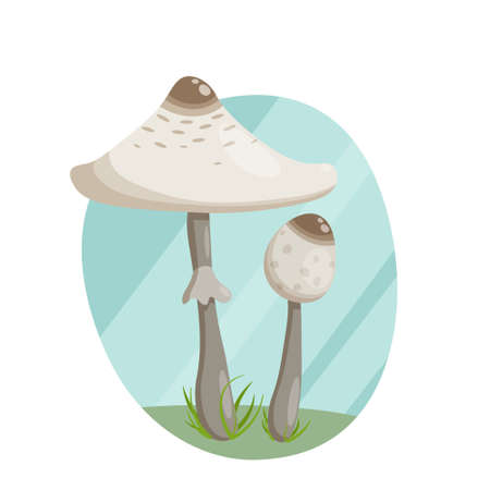 Forest mushroom umbrella, a large cap with a thin leg in the grass.のイラスト素材