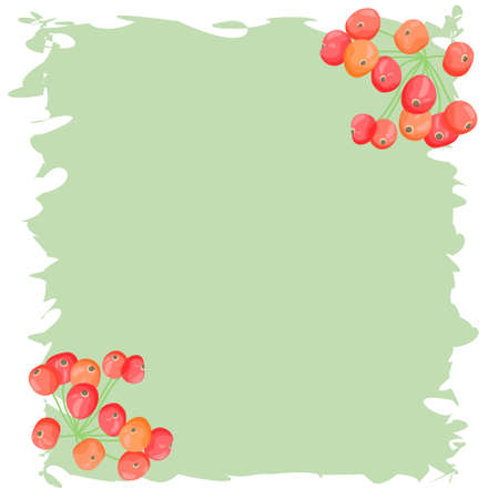 Postcard on a green background, with bunches of red juicy rowan.のイラスト素材