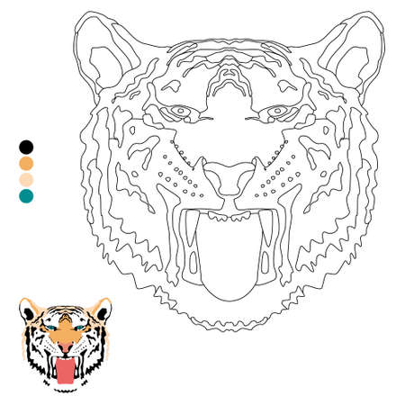 Coloring book for children and adults, tiger head with fangs with color example.のイラスト素材