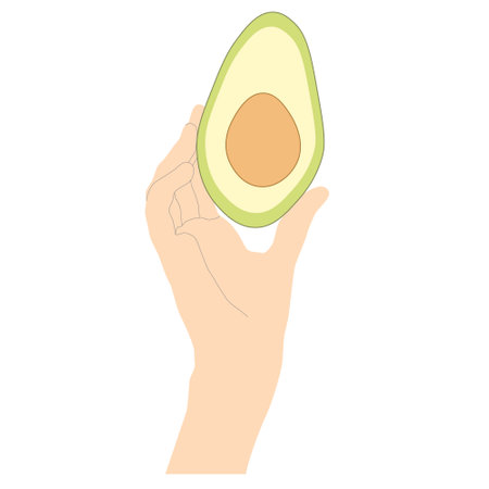 Female hand holding avocado with pit in minimalistic style with lines to emphasize shapes, vector...