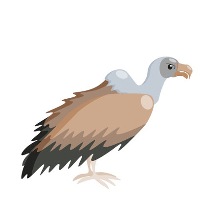 Cartoon vulture character on white background, vector isolated.のイラスト素材