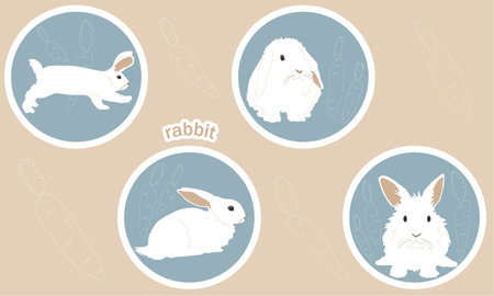 A set of four cartoon characters, a white rabbit in different poses and with different emotions, a bunny with a carrot. Colored vector flat illustration sticker isolated with stroke on beige backgrounのイラスト素材