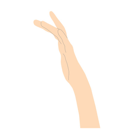 Gentle female hand in light beige minimalistic style with lines for sketching shapes, side view, vector isolated on white background.のイラスト素材