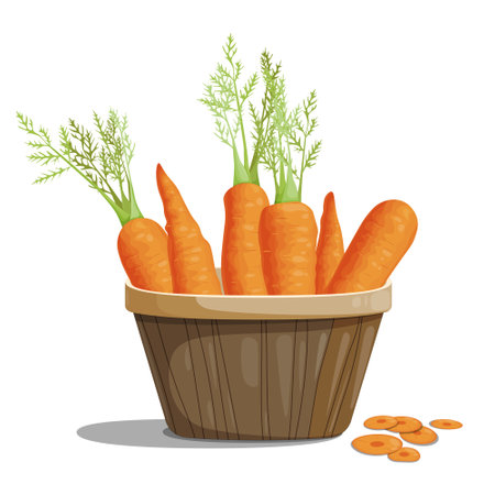 Carrot bright juicy vegetable, healthy vegetarian food, basket with carrots. Vector isolated picture with shadow on white background.のイラスト素材