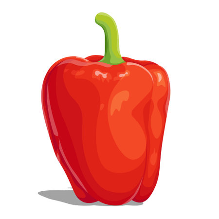 Red sweet pepper, a juicy healthy vegetable with a tail. Illustration isolated on white background..のイラスト素材