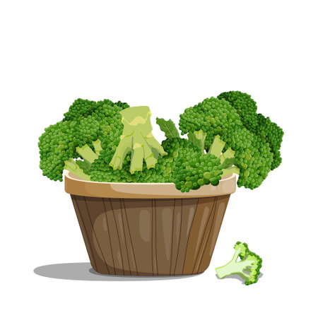 Broccoli in a kitchen basket, a cob of a cabbage family plant, a small green tree. Isolated vector illustration on white background.のイラスト素材