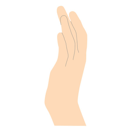 Gentle female hand in light beige minimalistic style with lines for tracing shapes, hand side view four fingers visible, vector isolated on white background.のイラスト素材