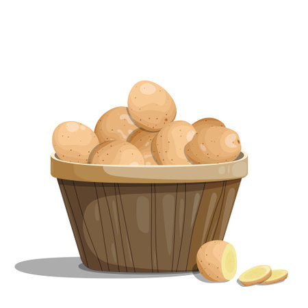 Young potatoes in a basket, glossy and voluminous, sliced potatoes.のイラスト素材