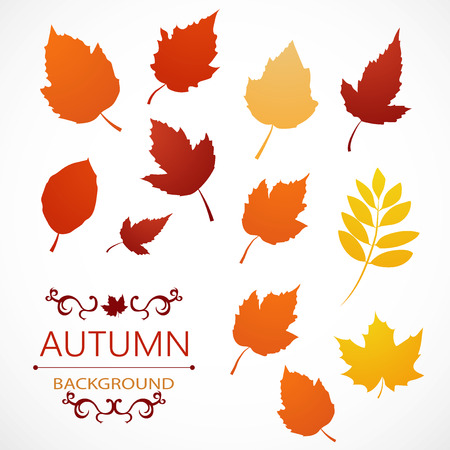 Autumn background from leaves of different colors with the inscriptionのイラスト素材