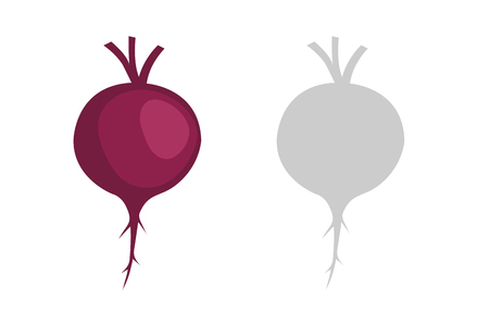 Vector Illustration vegetables Of Red beetrootのイラスト素材