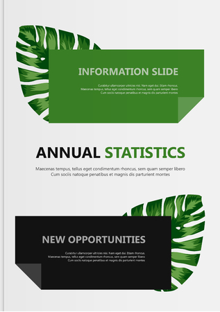 Tropical flowers classification plant description. Vector illustrationのイラスト素材