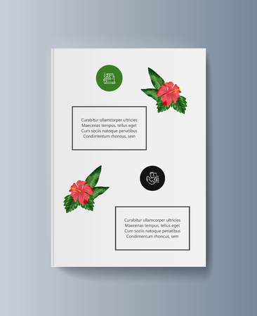 Tropical flowers classification plant description. Vector illustrationのイラスト素材