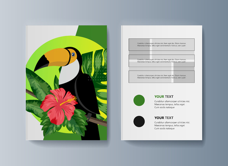 Set of brochures about Toucan bird and tropical flora. Vector illustrationのイラスト素材