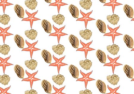 Hand drawn vector illustrations - seamless pattern of seashells.のイラスト素材