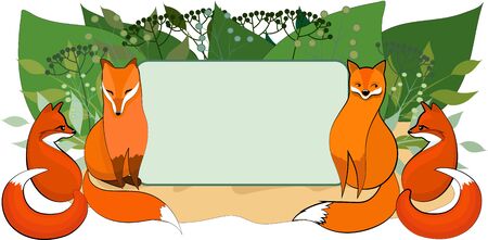 Four red cute foxes in the grassのイラスト素材