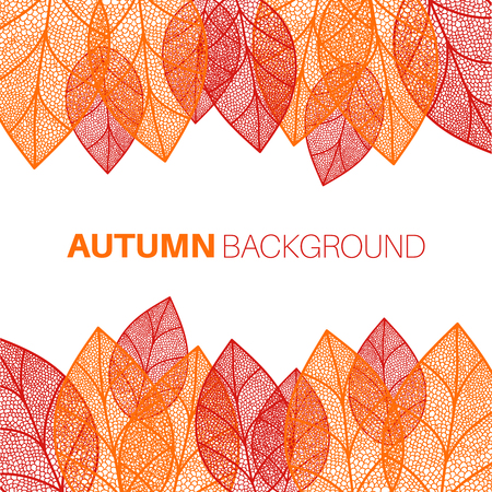 Autumn leaves seamless backgroundのイラスト素材