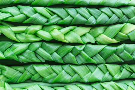 Green onions braided in braids. Abstract background. Greeneryの写真素材