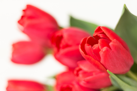 Large bouquet of pink tulips on white background. Selective focus. Defocused, blurred backdropの写真素材