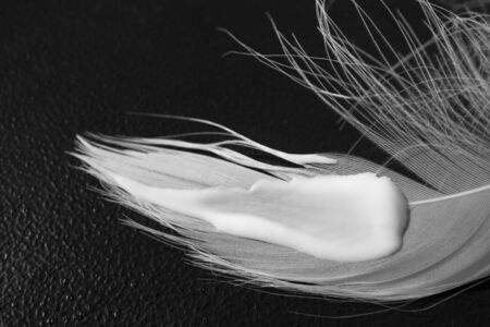 White fluffy swan feather and smear of moisturizing cream on black background, macro. Concept of tenderness and softness body care, close-upの写真素材