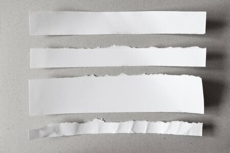 White ripped blank notes, set of pieces of torn paper on gray backgroundの写真素材