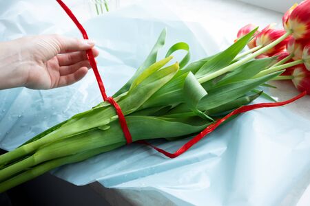 Hand holding red ribbon on tulip bouquet. Flower shop, florist workingの写真素材
