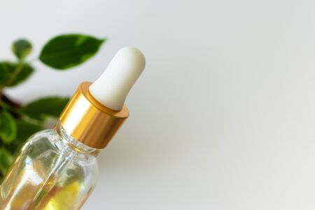 Close-up oil face moisturizer in glass bottle and leaves on white background, copy space. Skincare beauty product. Concept natural bio organic cosmeticの写真素材