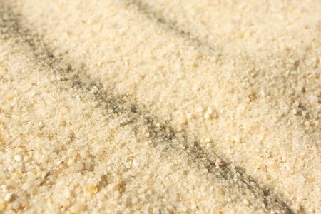 Close-up sand texture background with selective focus. Summer beach surface. Sandy nature backdropの写真素材