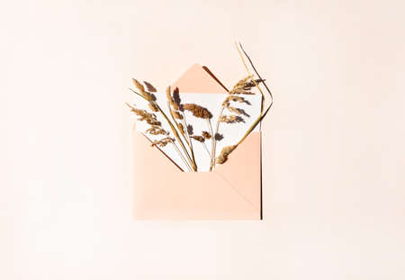 Opened envelope and dry meadow herbs and grass inside on beige background. Creative flat lay composition, top view. Greeting card with nature. Summer, autumn or field conceptの写真素材