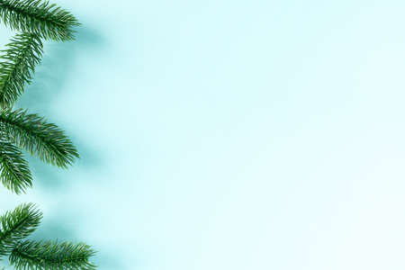 Border of green fir branches on blue background
