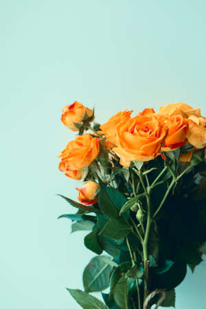 Garden roses bouquet on blue background with copy space, vertical