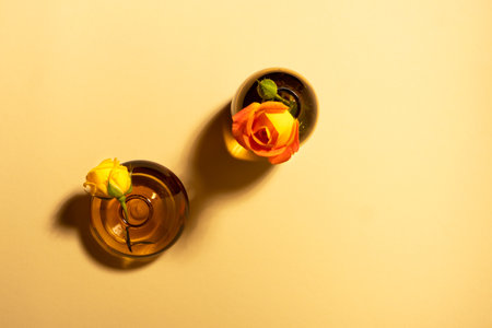 Garden roses in glass vases on beige background with hard long shadows flat lay