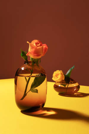 Roses in color glass vases on bright yellow brown diagonal background with long shadow, vertical. Minimalist modern creative composition conceptの写真素材