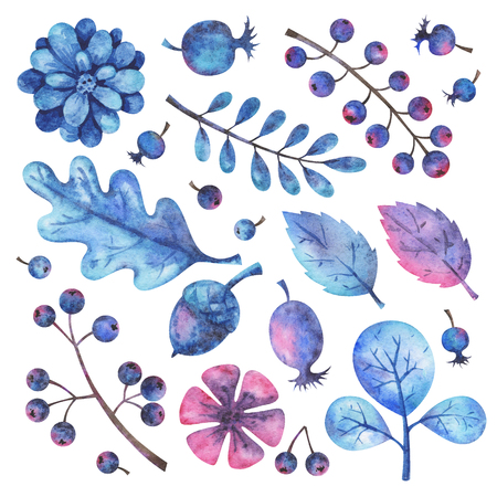 Watercolor floral elements set. Hand painted branches, flowers, plants and berries isolated on white background. Botanical clip art. Winter illustrationの写真素材
