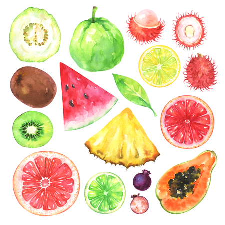 Hand painted exotic fruits set. Watercolor collection of kiwi, watermelon, guava, rambutan, amelanchier, grapefruit, blood orange, lemon, papaya, pineapple, lime and green leaf isolated on white background.の写真素材