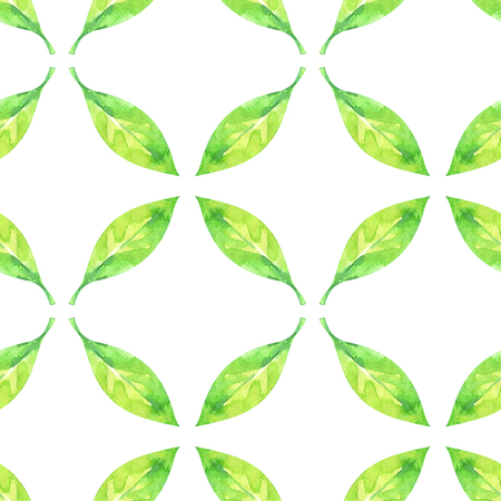 Hand painted minimalist seamless pattern with watercolor green leaves isolated on white backgroundの写真素材