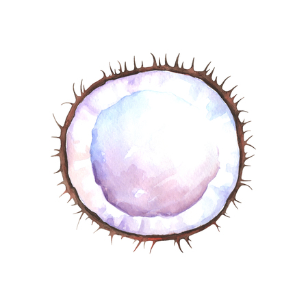 Hand painted watercolor slice of coconut isolated on white background. Fruits illustrationの写真素材