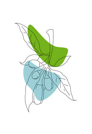 Vector minimalist botanical illustration. Artistic drawing of the orange branch with abstract shapes of different colors on white background. line art styleのイラスト素材
