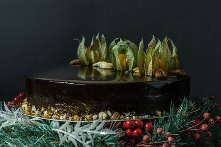 Holiday chocolate mousse cake on a stand of fir-tree with berries on a black backgroundの写真素材