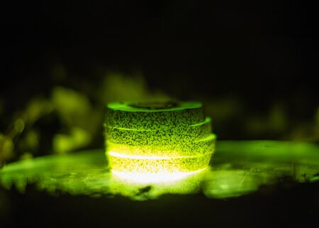 Illuminated slices of kiwi on a dark mysterious backgroundの写真素材