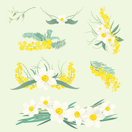 Floral illustrations set of brunches and bouquets of mimosa and narcissus flowersのイラスト素材